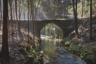 Route - PR2 ABL Trilho dos Três Rios - Vilarinho S. Roque