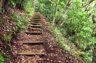Route - Vereda das Funduras - Porto da Cruz
