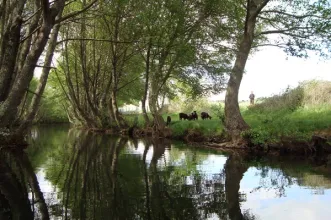 Rota - PR3 SBG Nascente do Côa - Fóio