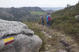 Rota - Trilho das Torrinheiras - Torrinheiras