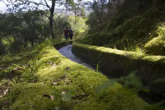 Rota - Trilho da Ribeira de Cavez - Vilela