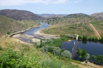 Rota - GR45 Grande Rota do Vale do Côa – Etapa 7 - Almeida