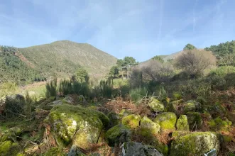 Rota - PR16 CVL – Rota das Canadas  de Unhais - Unhais da Serra