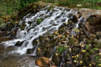 Rota - À Descoberta dos Açudes - Caldas de São Jorge