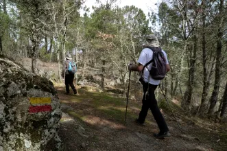 Rota - PR4 GRD - Rota do Azeite - João Antão     - João Antão  
