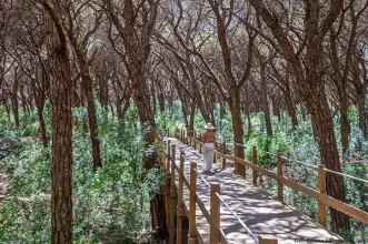 Rota - Passadiços da Mata dos Medos - 