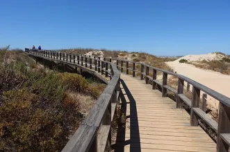 Rota - Passadiços de Alvor - Praia dos Três Irmãos | Ria de Alvor 