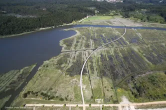 Rota - GR Ria de Aveiro – Etapa 9 do Percurso Dourado - Palhaça, Oliveira do Bairro