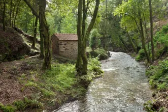 Route - Rota dos Moinhos  - Vilarinho de S. Roque, Ribeira de Fráguas