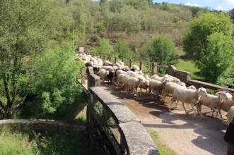 Rota - PR1 VMS – Pelas Margens do Rio Angueira - São Joanico, Vale de Frades