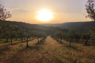 Rota - PR2 VMS – Pelas Ladeiras do Rio Sabor - Matela
