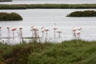 Rota - Ciclovia - Percurso Arrentela / Seixal  - Arrentela