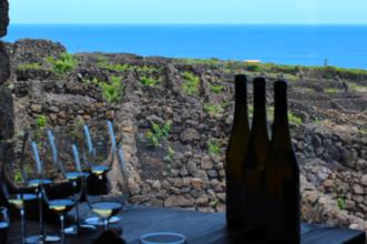 Rota - Rota do Vinho, da Vinha e dos Maroiços - São Mateus