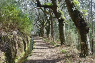 Rota - PR03FAI Levada - Capelo