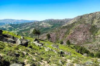 Rota - GR 50 Etapa 16 - Cabril - Sirvozelo - Cabril| Montalegre| Alto Tâmega| Portugal