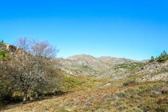 Rota - GR 50 Etapa 15 - Fafião - Cabril - Fafião| Montalegre| Alto Tâmega| Portugal