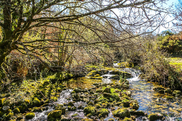 Rota - GR 50 Etapa 7 - Soajo - Lindoso - Soajo| Arcos de Valdevez| Alto Minho| Portugal
