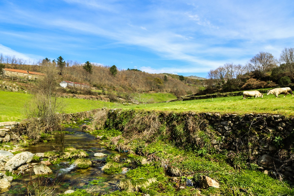 Rota - GR 50 Etapa 18 – Outeiro – Pitões de Júnias - Outeiro| Montalegre| Alto Tâmega| Portugal
