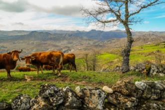 Rota - GR 50 Etapa 19 – Pitões de Júnias - Tourém - Pitões de Júnias| Montalegre| Alto Tâmega| Portugal