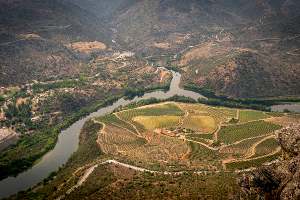 Rota - Rota do Penedo Durão - Poiares| Freixo de Espada À Cinta| Douro| Portugal