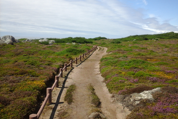 Rota - PR7 Trilho Forte do Paçô - Montedor| Viana do Castelo| Alto Minho| Portugal