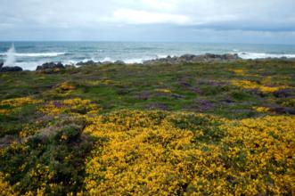Rota - PR7 Trilho Forte do Paçô - Montedor| Viana do Castelo| Alto Minho| Portugal
