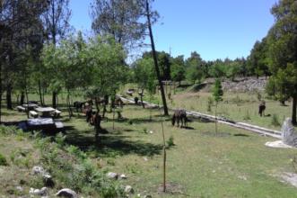 Rota - PR 8 Trilho da Chão de Carreço - Carreço| Viana do Castelo| Alto Minho| Portugal