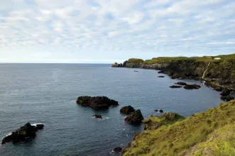 Rota - TM01 - Trilho Da Ponta Do Cintrão - Ribeira Grande | Ribeira Grande| Região Autónoma dos Açores| Portugal