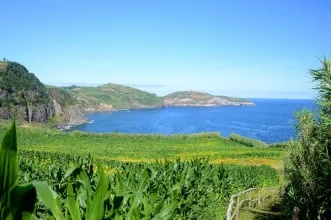 Rota - TM04 – Trilho Ladeira da Velha - Porto Formoso| Ribeira Grande| Região Autónoma dos Açores| Portugal