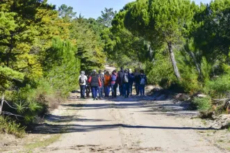 Rota - Percurso da Lagoa da Sancha - Sines| Sines| Alentejo Litoral| Portugal