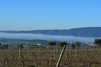 Rota - PR 1 BRB Fantástica Serra d’Ossa - Rio Moinhos| Borba| Alentejo Central| Portugal