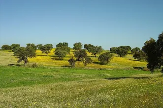 Rota - PR 1 SRP – Trilho da Azenha da Ordem - Serpa| Baixo Alentejo| Portugal