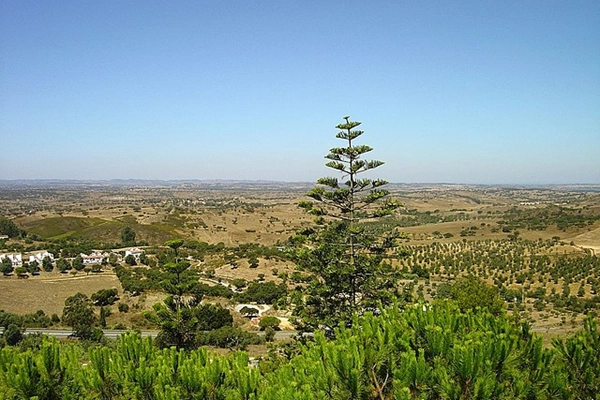 Rota - PR1 ORQ Montes e Vales de Santana da Serra - Santana da Serra| Ourique| Baixo Alentejo| Portugal