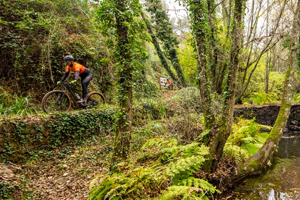 Rota - BTT XC Arripiado – P2 - Arripiado| Chamusca| Lezíria do Tejo| Portugal
