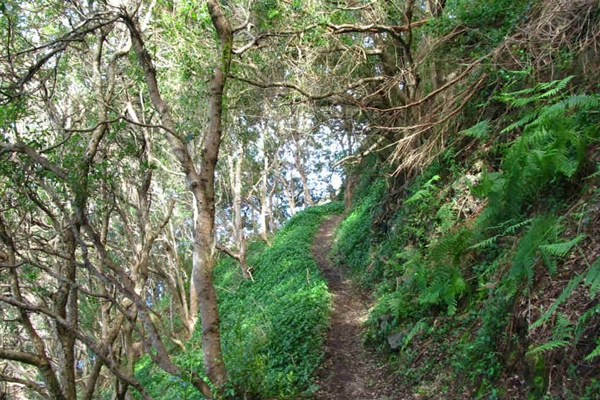 Rota - Boca do Risco – BTT - Machico| Machico| Região Autónoma da Madeira| Portugal