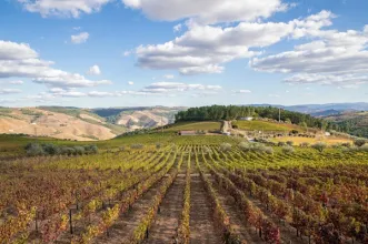 Rota - PR2 SBR Trilho do Castro de Sabrosa - Sabrosa| Sabrosa| Douro| Portugal