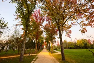 Rota - Ciclovia da Mealhada  - Mealhada| Mealhada| Região de Coimbra| Portugal