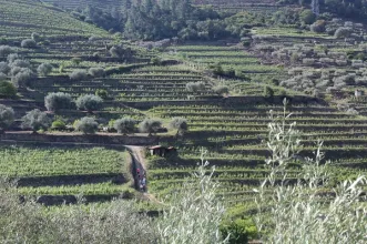 Rota - PR4 CRZ Trilho da Fraga das Ferraduras - Ribalonga| Carrazeda de Ansiães| Douro| Portugal