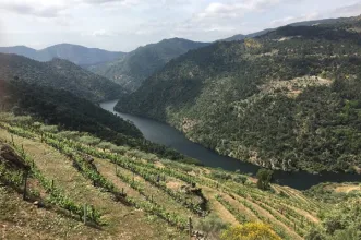 Rota - PR1 CRZ Trilho de S. Lourenço - Pombal| Carrazeda de Ansiães| Douro| Portugal