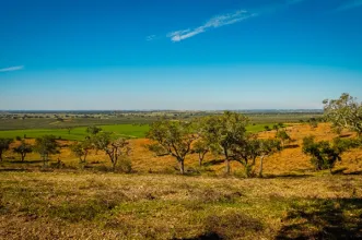 Rota - PR3 BJA Pelos Montes do Cantinho da Ribeira - Trindade| Beja| Baixo Alentejo| Portugal