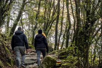 Rota - PR11 FAF Trilho dos Apanha Pedrinhas - Revelhe| Fafe| Ave| Portugal