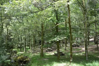 Rota - Trilho da Levada de Víbora -  Abadim| Cabeceiras de Basto| Ave| Portugal