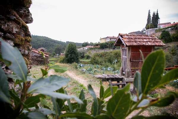 Rota - PR1 OAZ Percurso dos Espigueiros  - Vilarinho de S.Luís| Oliveira de Azeméis| Área Metropolitana do Porto| Portugal