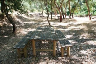 Rota - PR2 SRD Trilho do Pastor - Sardoal| Portugal