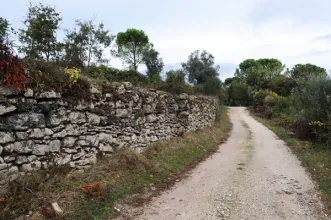 Route  - PR5 LRA Rota do Peregrino  - Cortes| Leiria| Região de Leiria| Portugal