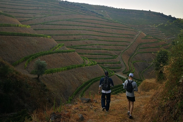 Rota - PR1 SMP - Trilho da Terra e do Céu  - Vila da Cumieira| Santa Marta de Penaguião| Douro| Portugal