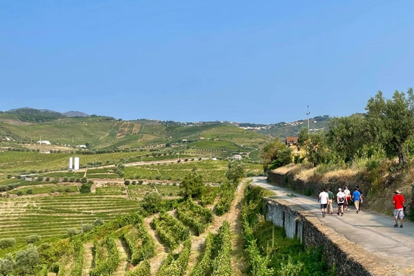 Rota - PR7 SMP - Trilho de Santa Marta - Santa Marta  | Santa Marta de Penaguião| Douro| Portugal