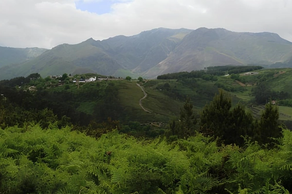 Rota - PR2 SMP - Trilho das Belas Vistas  - Fornelos | Santa Marta de Penaguião| Douro| Portugal