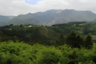 Rota - PR2 SMP - Trilho das Belas Vistas  - Fornelos | Santa Marta de Penaguião| Douro| Portugal