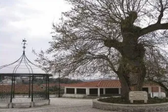 Rota - PR3 ANS – Rota dos Pinhais  - Ansião| Ansião| Região de Leiria| Portugal